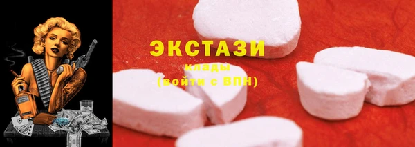 тгк Богородицк