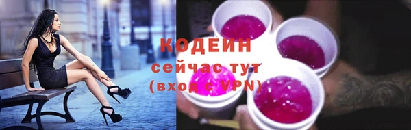 тгк Богородицк