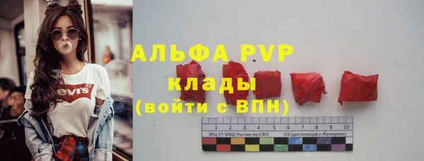 тгк Богородицк