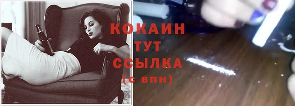 прущие грибы Новодвинск