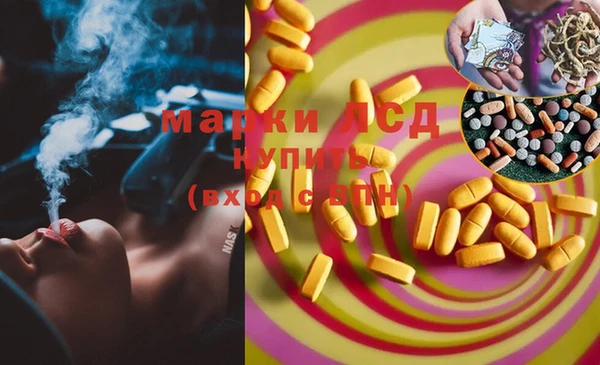 мяу мяу мука Бородино