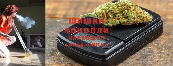 тгк Богородицк