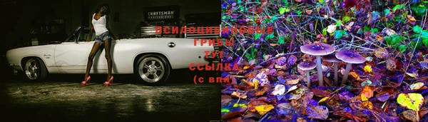 мет Богданович